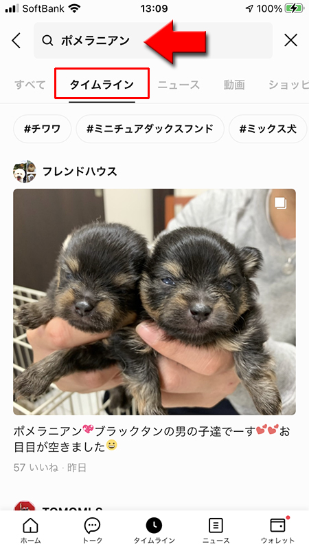 LINE ディスカバーからタイムラインの投稿の検索結果 iphone版
