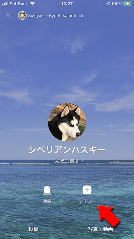 LINE タイムラインフォロワーのプロフィール画面 iphone版