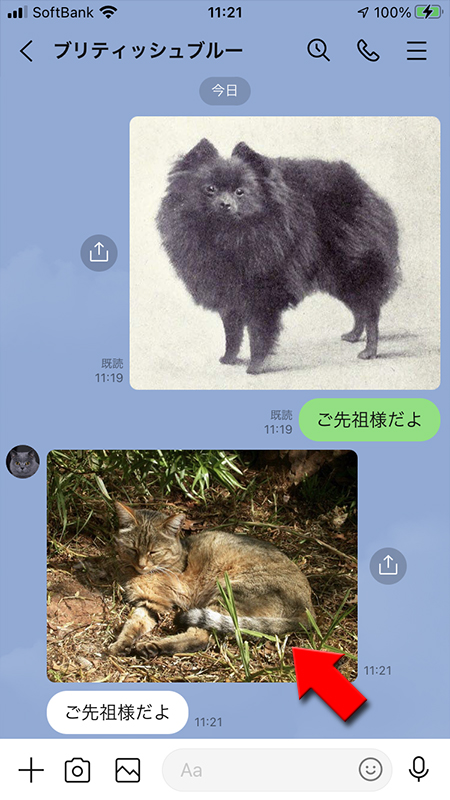LINE トーク画像をもらった画面 iphone版