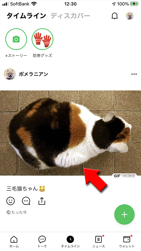 LINE タイムラインにGIFアニメ投稿完了 iphone版