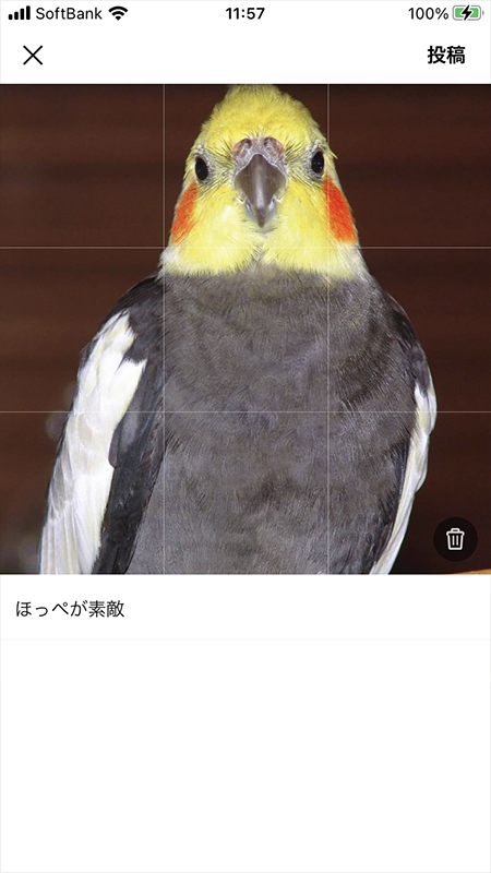 LINE リレー投稿の編集画面 iphone版