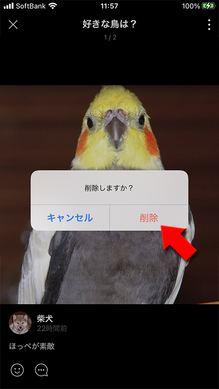 LINE リレー投稿の削除の確認画面 iphone版
