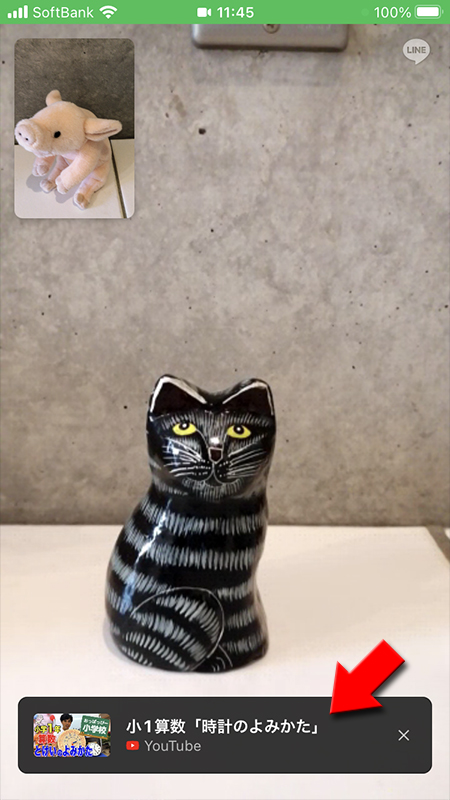 LINE ビデオ通話画面コピーしたURLの動画が表示されている iphone版
