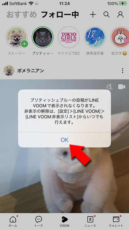 LINE ストーリー、VOOMの投稿が消える iphone版