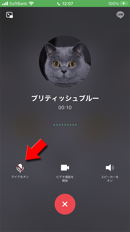 LINE 通話中ミュート iphone版