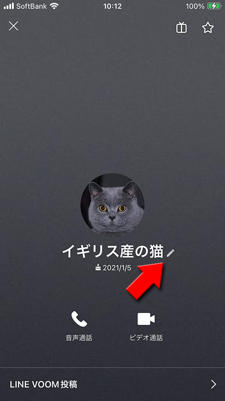 LINE 友だちのプロフィール画面名前編集ページ選択 iphone版