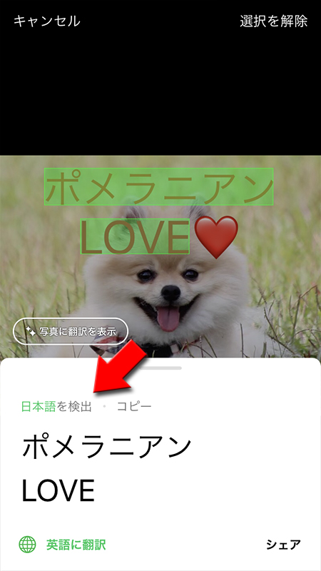 LINE 日本語の検出を選択 iphone版