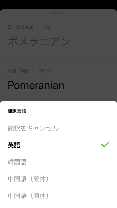 LINE 翻訳言語選択 iphone版