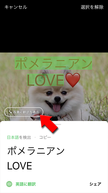 LINE 写真に翻訳を表示を選択する iphone版