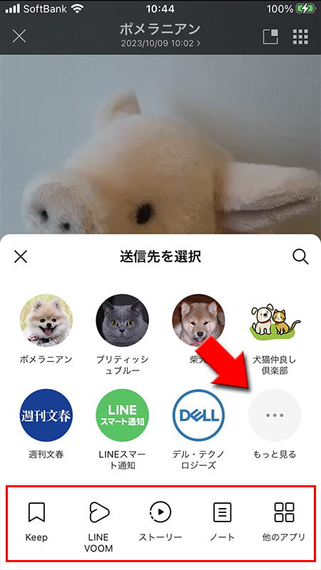 LINE 動画シェア画面 iphone版
