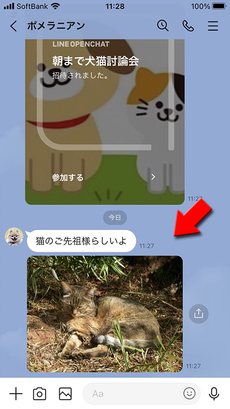 LINE 写真が転送された友だちのトークルーム iphone版