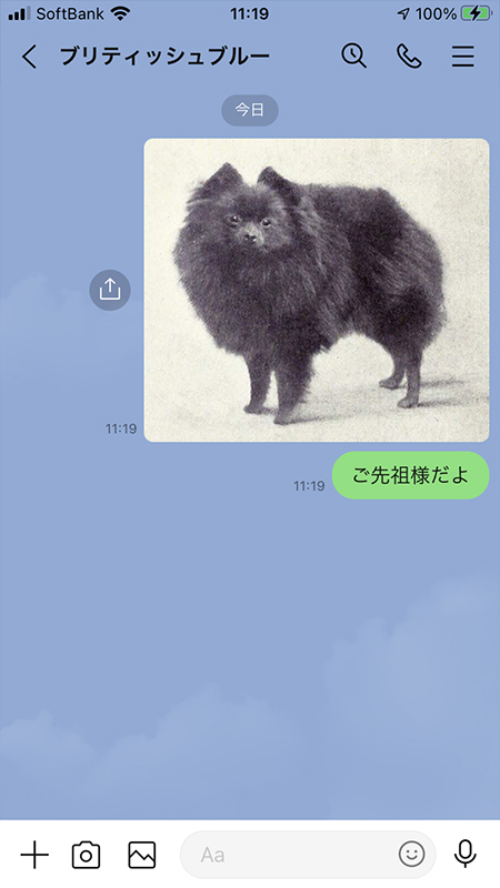 Line 写真 画像 の送り方 Line ライン の使い方ガイド