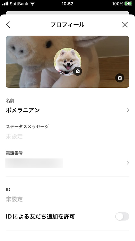 LINE 背景に動画設定プロフィール画面 iphone版