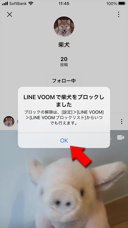 LINE VOOMのブロック完了画面 iphone版